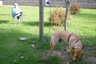 N 44.514265 - E 3.474373