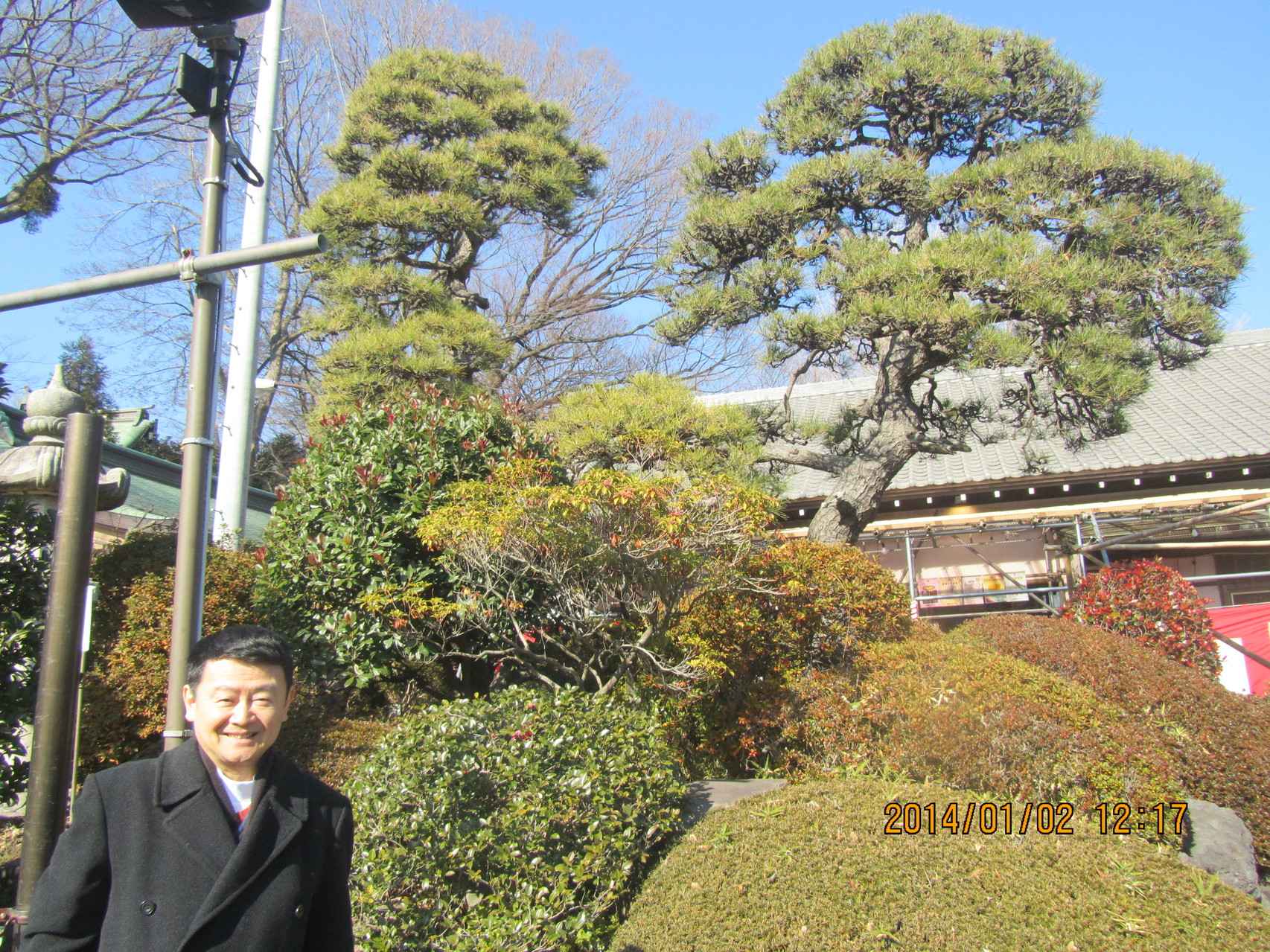 白旗神社内の義経松と弁慶松。