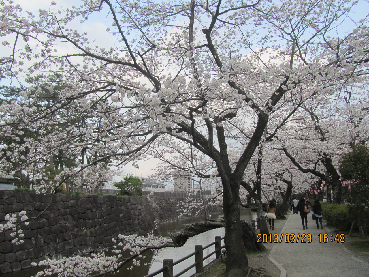 「小田原評定（ひょうじょう）」の末、北条氏は秀吉に降伏しました。
