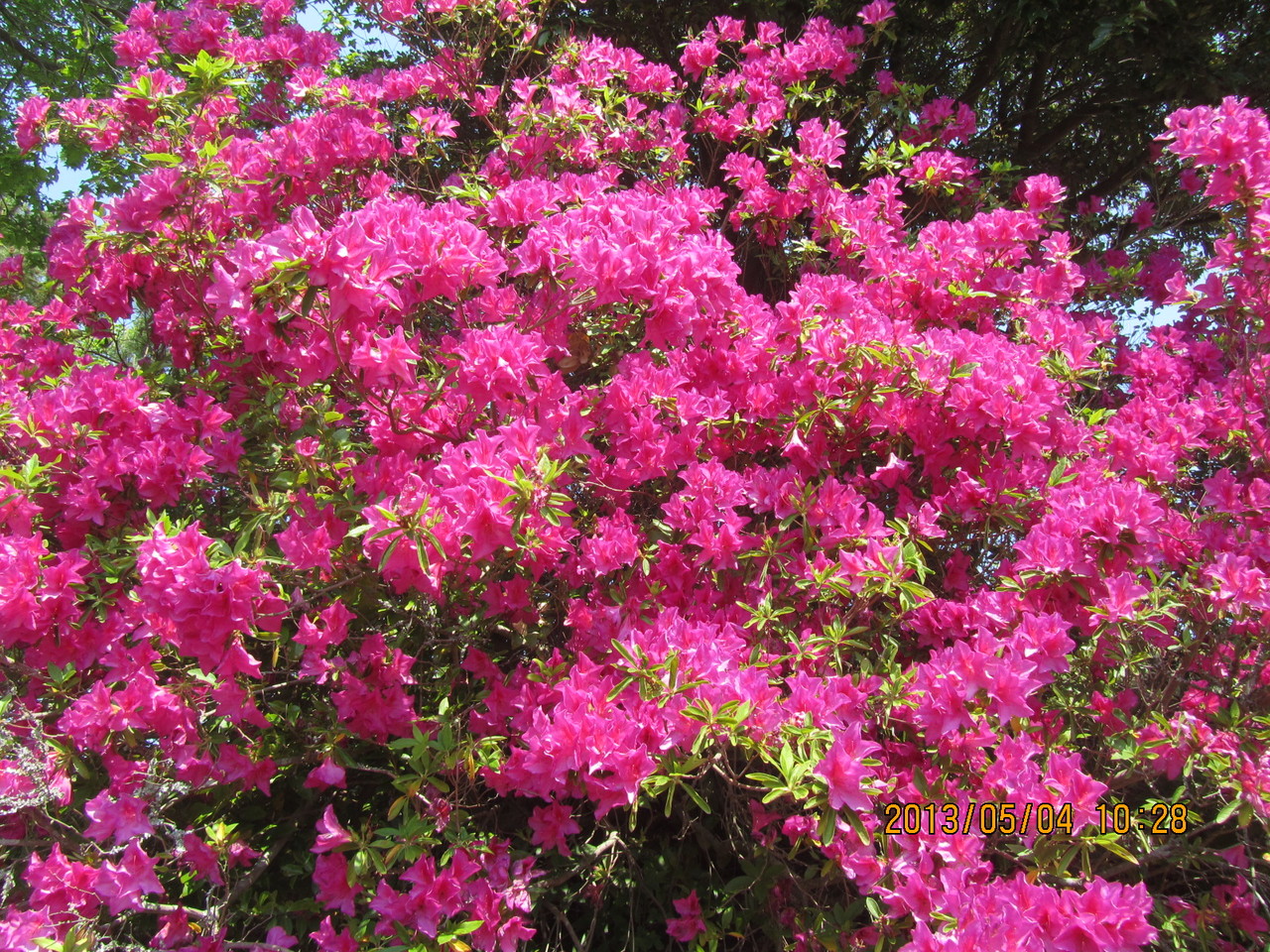 非常に美しいです。