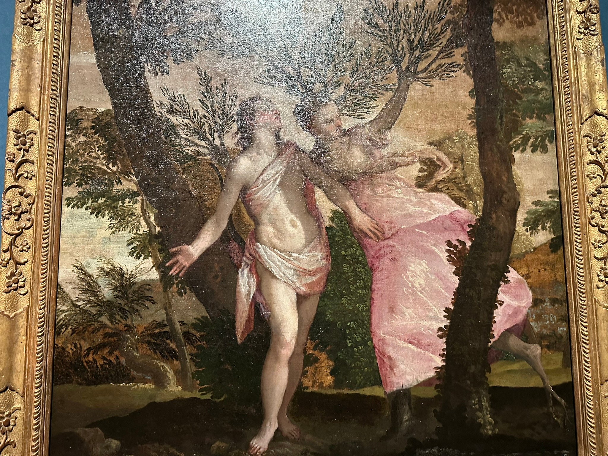 アポロンとダフネ。美女ダフネは太陽神アポロンから追いかけられ、逃げるために月桂樹に姿を変えてしまいました。