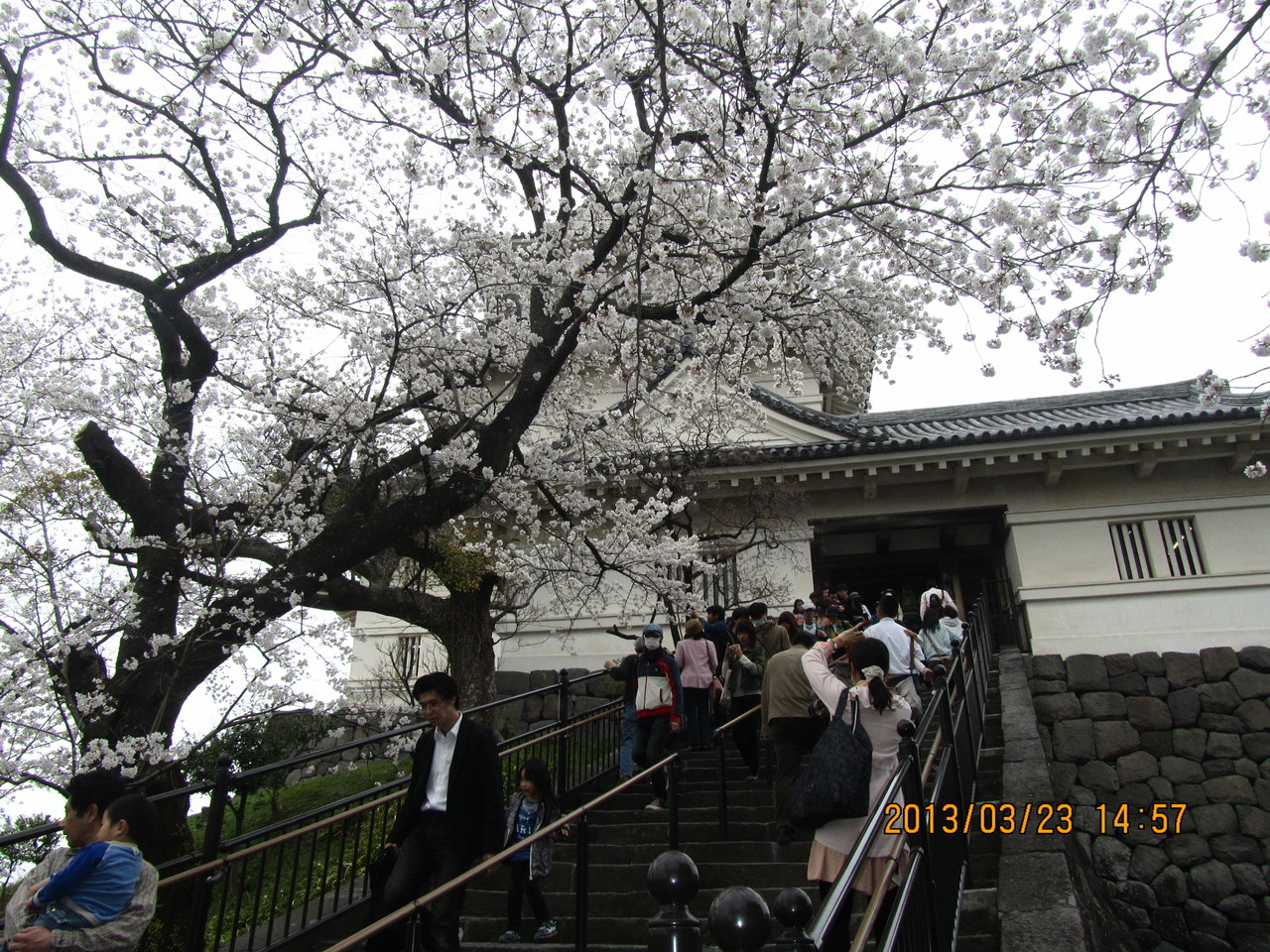 小田原城は豊臣秀吉に攻められました。