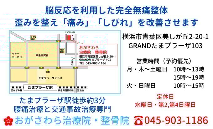 おがさわら治療院・整骨院MAP