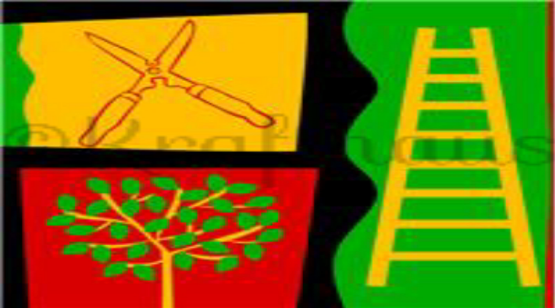 植木剪定！伐採！処分！