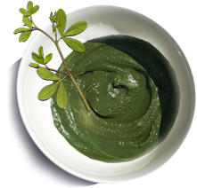 インディゴペースト