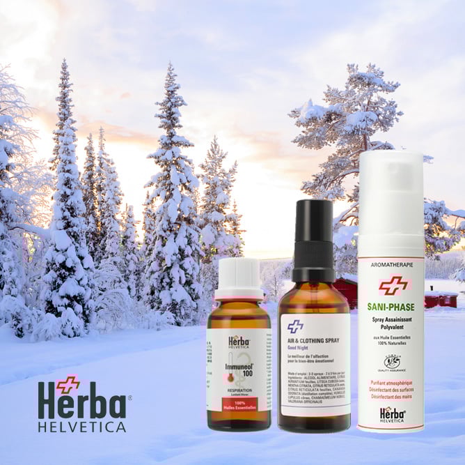 新年あけましておめでとうございます。