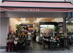 FLOWER SHOP ホワイト