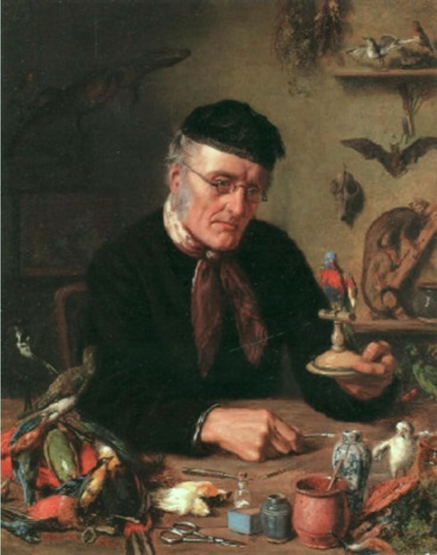 Immage historique d'un taxidermiste