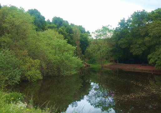 Our picturesque grounds are a wonderful way to cool down your horse after a workout