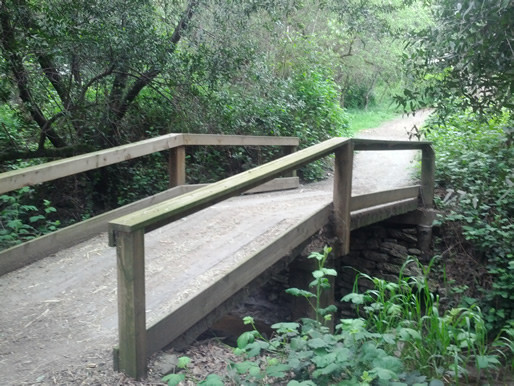 Trail to the pastures.