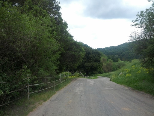 The road to relaxation.