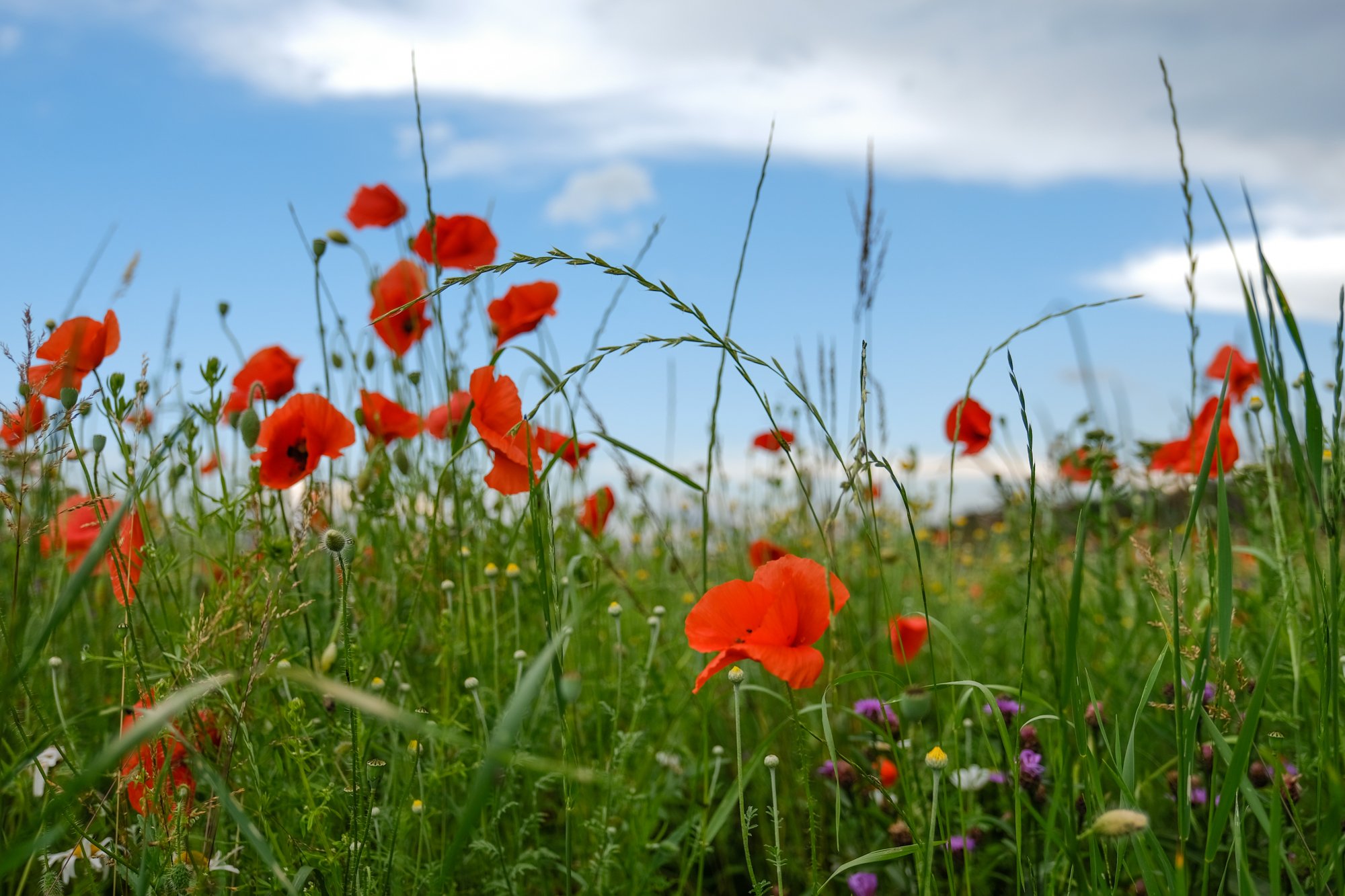 Bin ich ein guter Einfluss auf mich selbst?