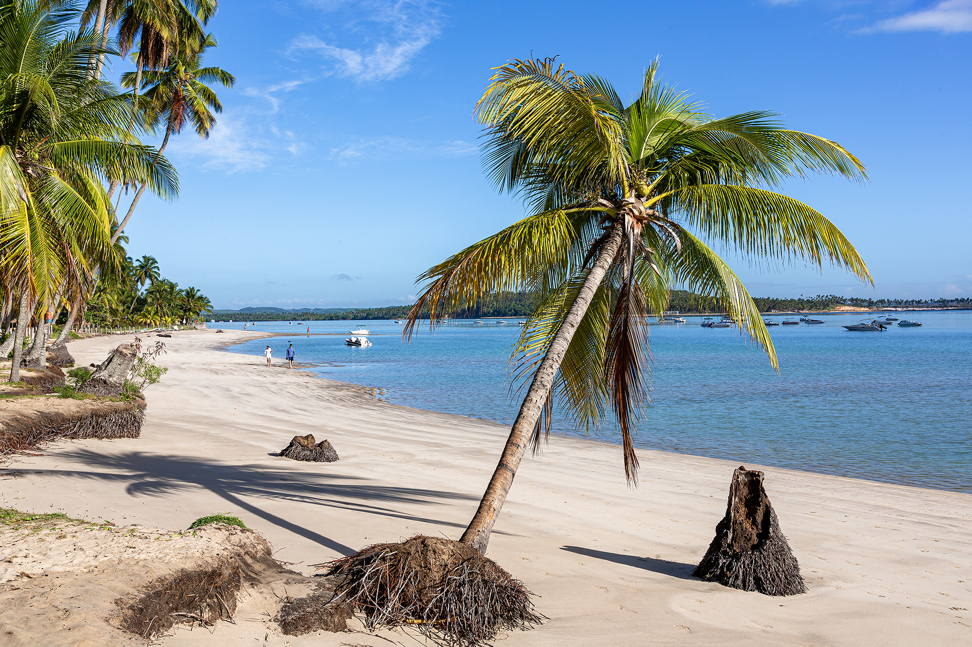 Carneiros beach in Tamandaré