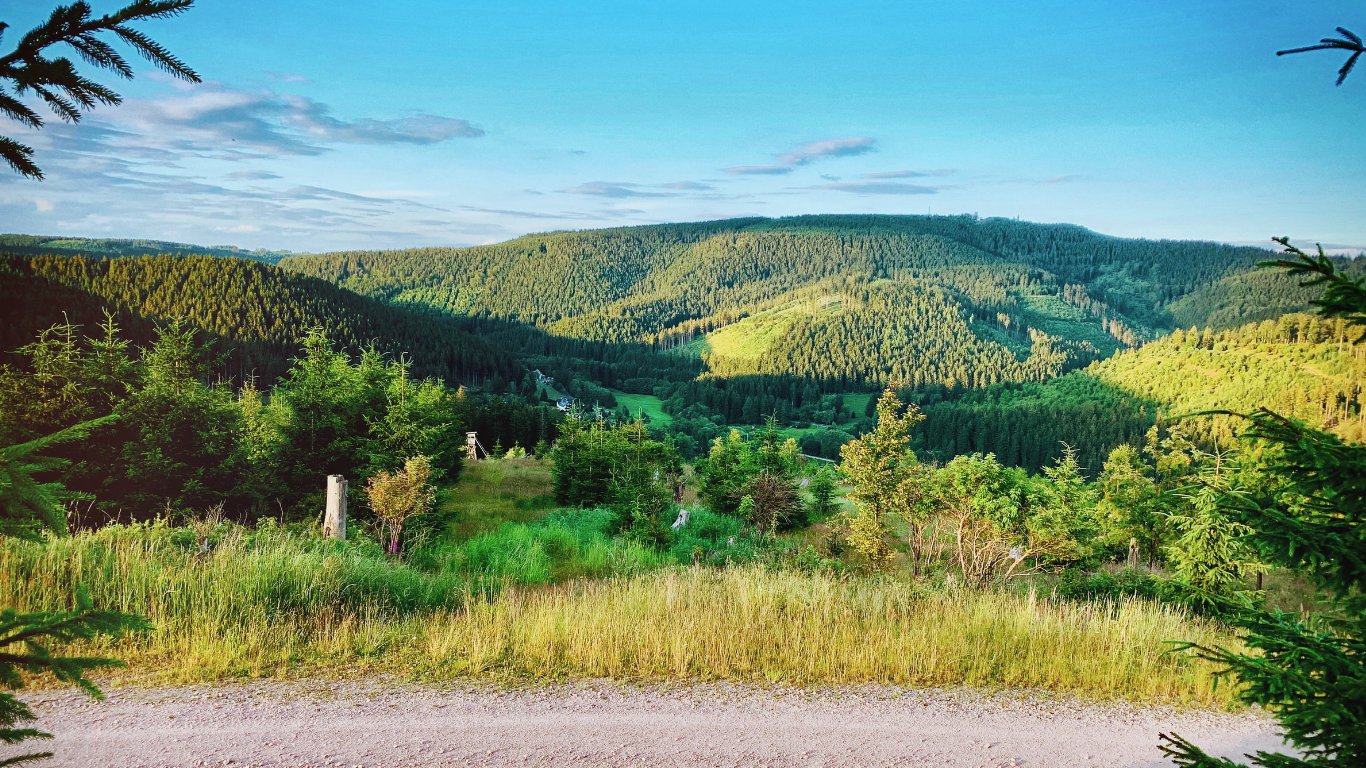 Ilmenau - Germany's city on the rise 2021