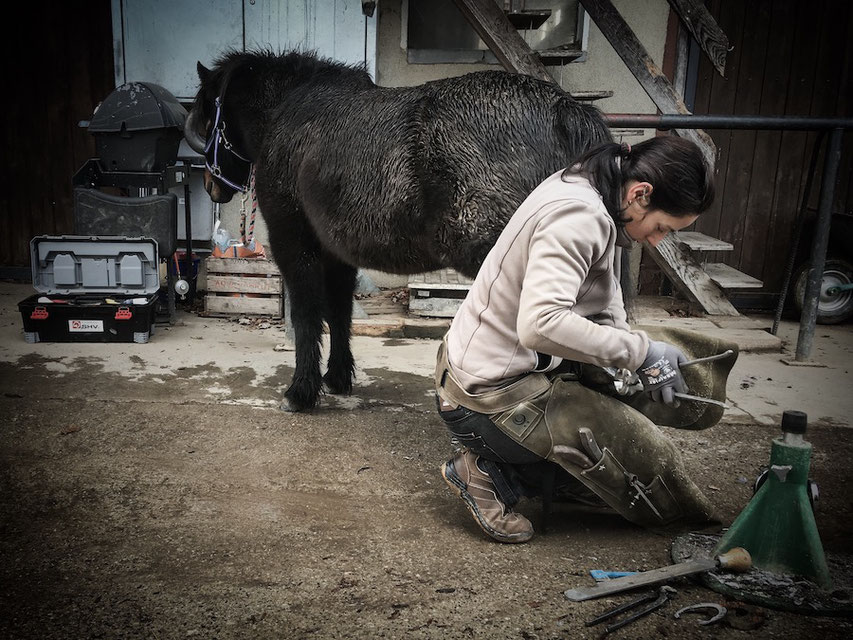 Hufpflege Umstellung auf Barhuf, Hufpflege Bern Fribourg, Ausbalancierter Huf, Geduld, Konsequenz, Ruhig, Horsesense