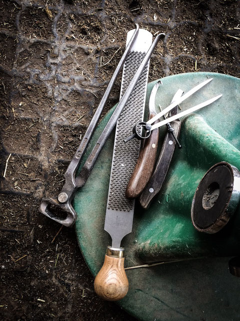 Hufpflege Kanton Bern Fribourg Waadt Vaud Neuenburg Neuchâtel berner seeland