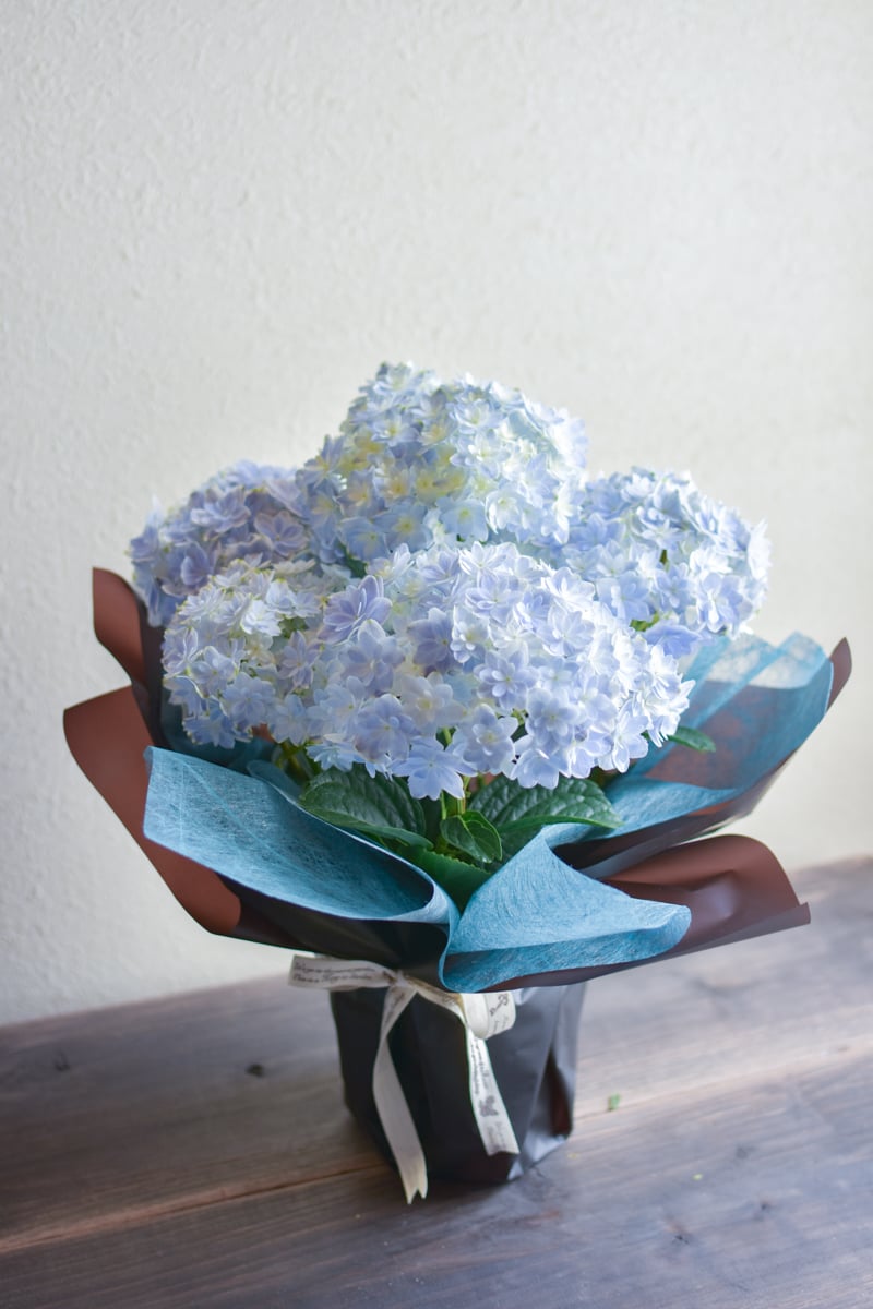 ラッピングイメージ