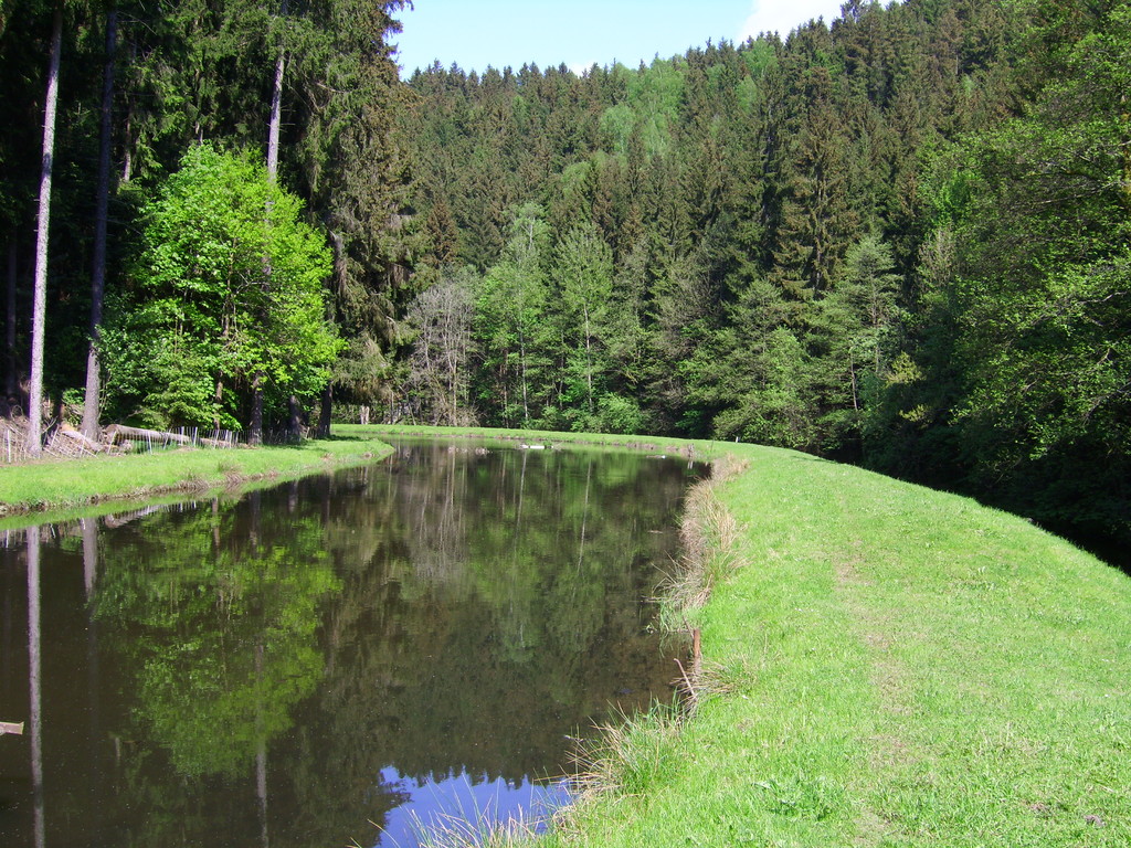 Unser See läd ein für einen Spaziergang um den See