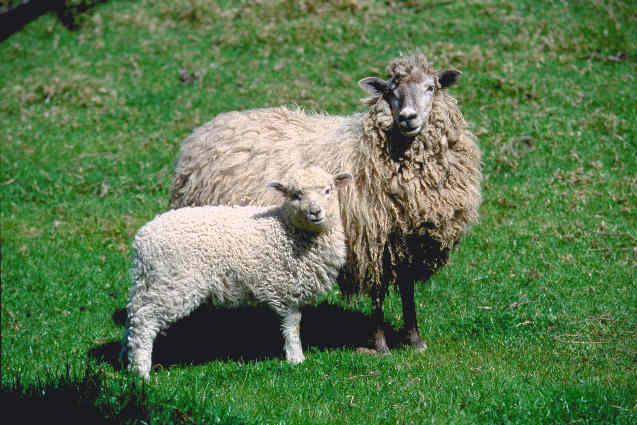 Die gibt es natürlich auch zu sehen oder zu Fotografieren