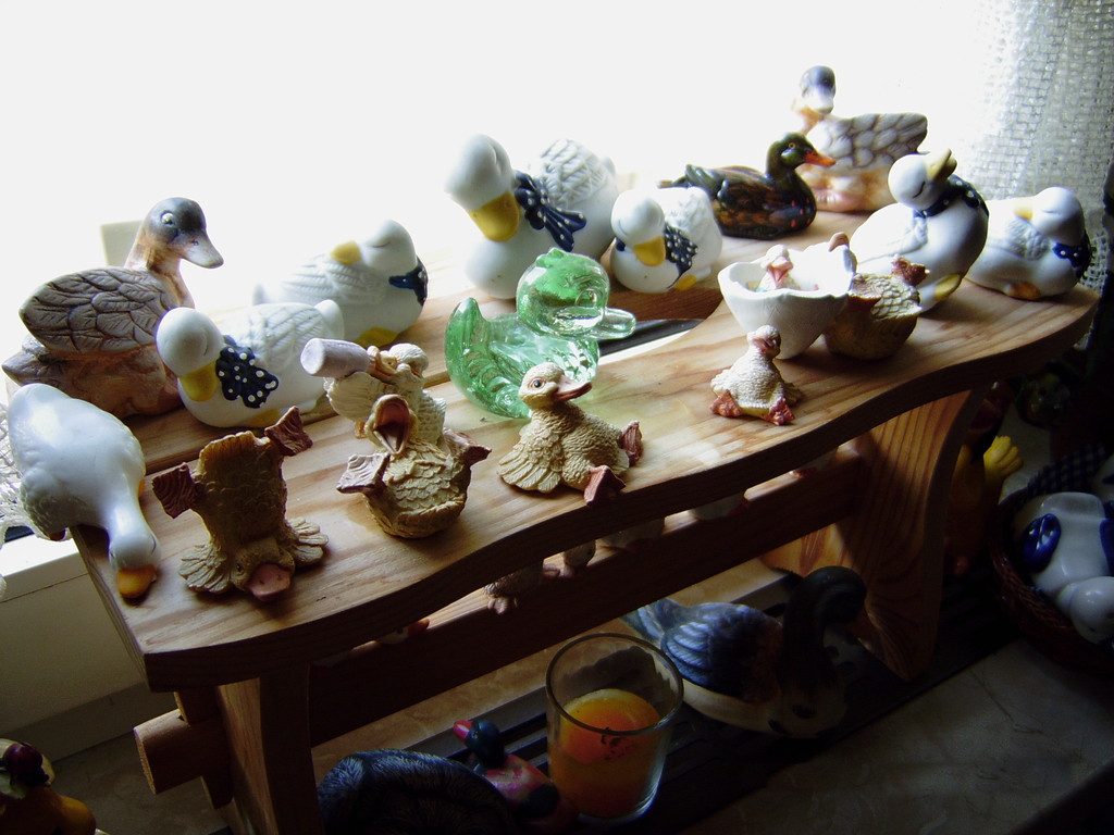 Und die gibt es auch manchmal innen zu bewundern