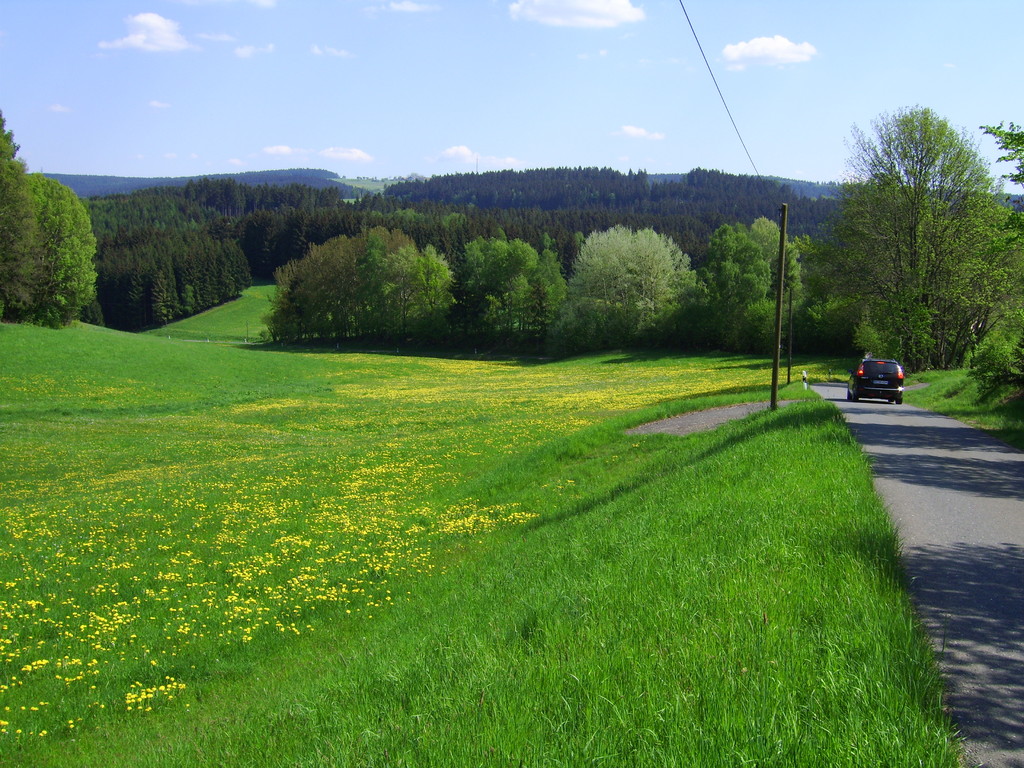 Zufahrtsstrasse in die Entenmühle auf halber Strecke