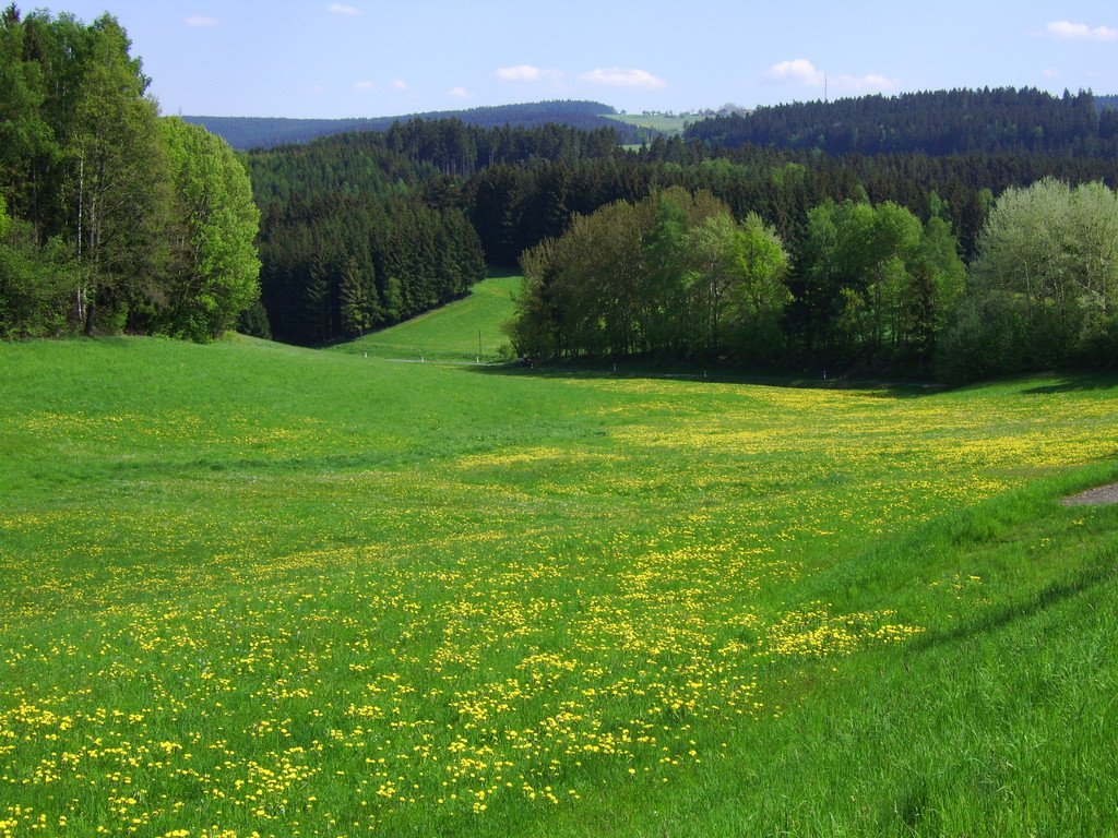 Blick ins Ölschnitztal am Horizont links der Schneeberg - rechts der Ochsenkopf