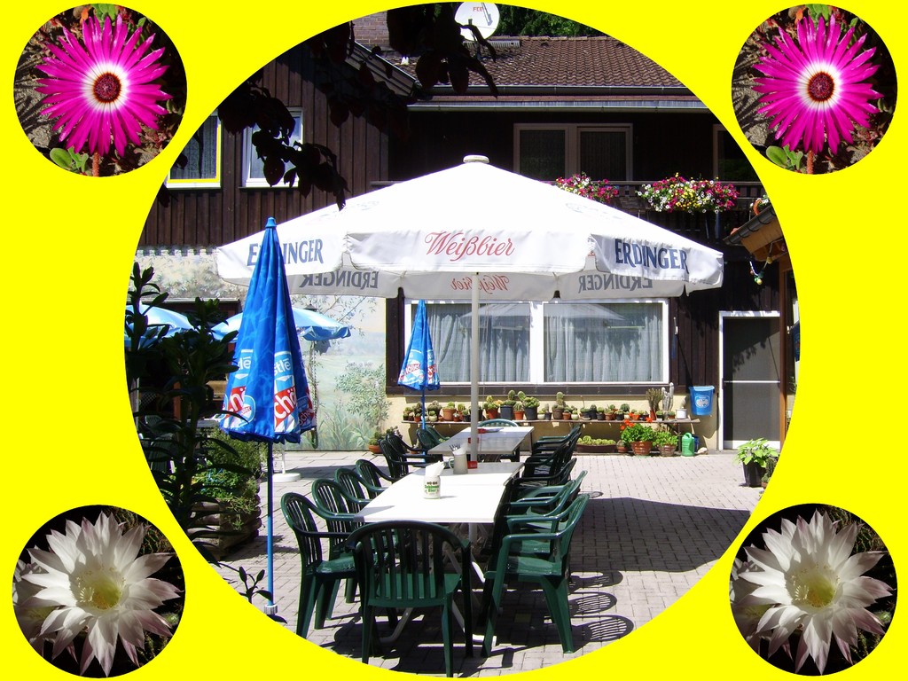 Terrasse - Biergarten mir Kakteensammlung