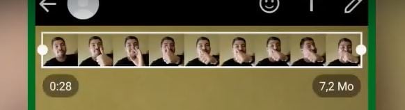 WhatsApp créer GIF (1)