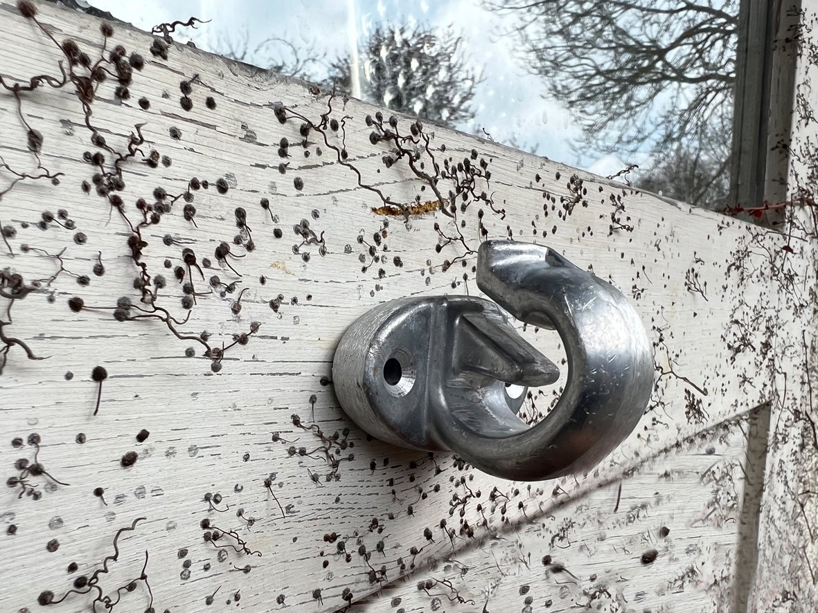 Stangen oder Wandhaken