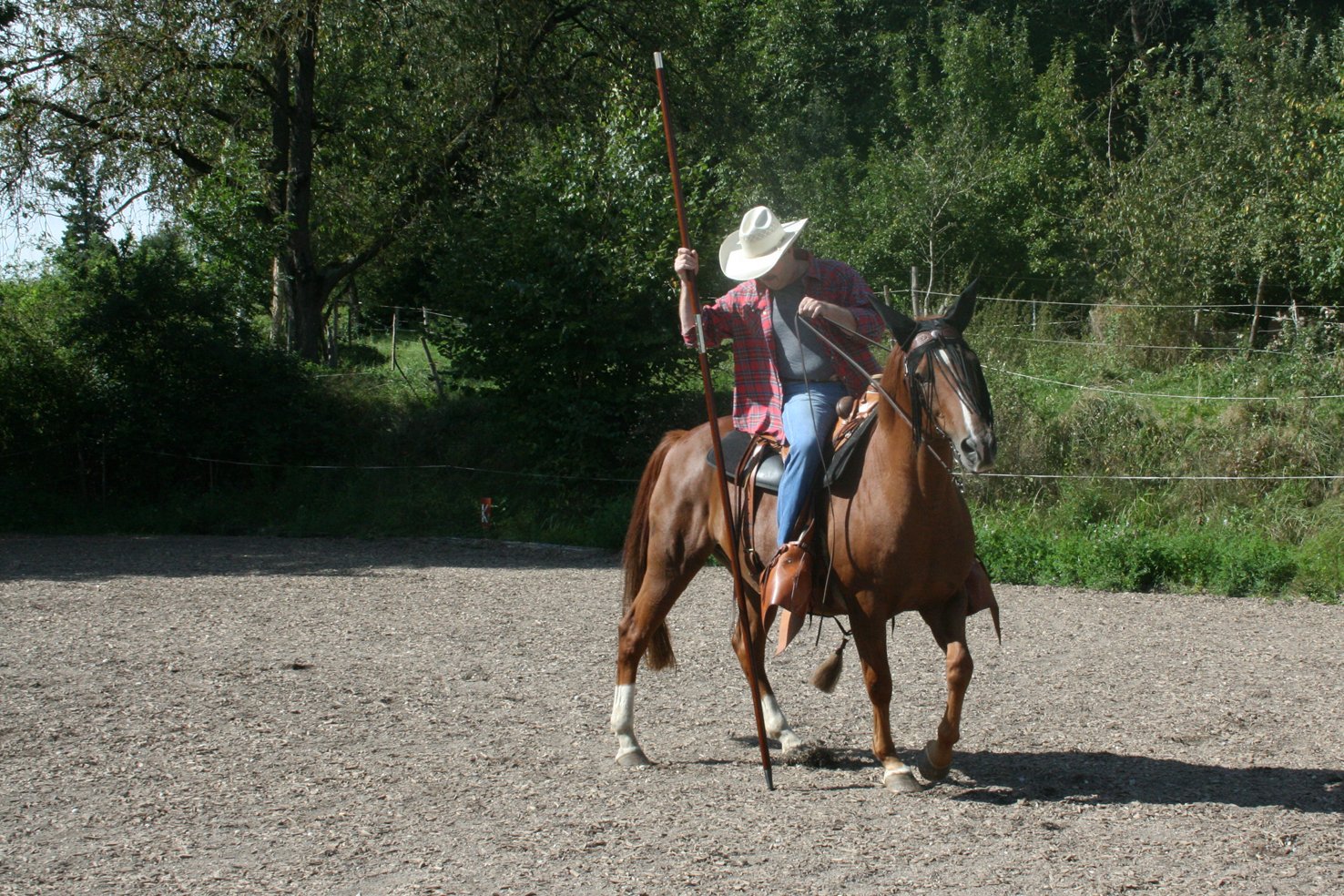 3m Garrocha in braun.