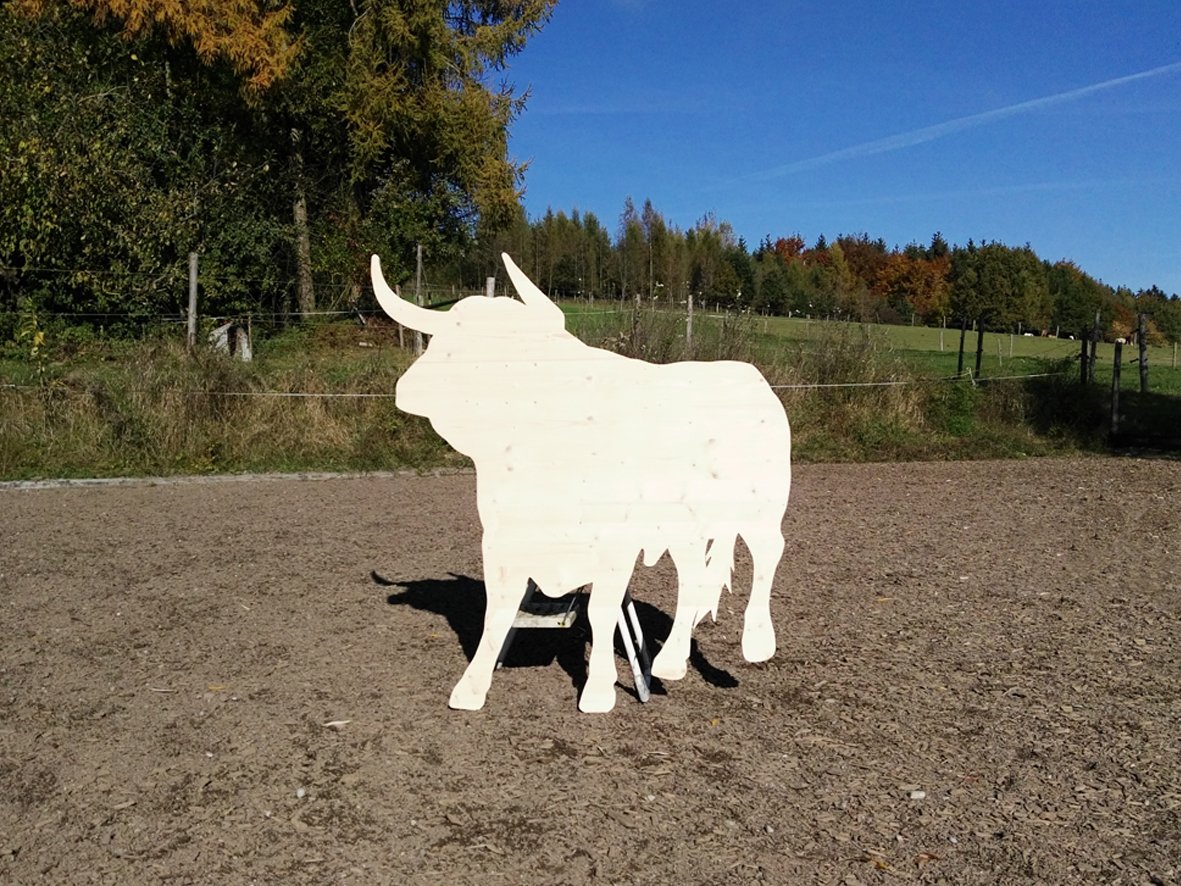 Stier Nr. 9  in 135cm x 130cm