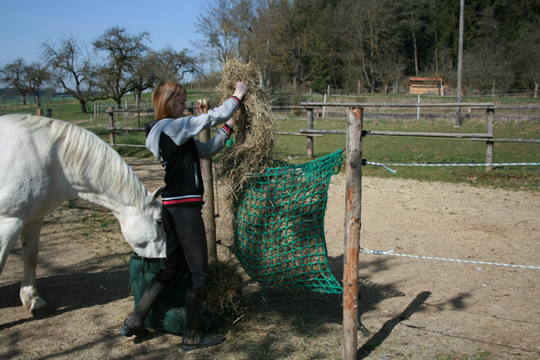 Einfaches befüllen des 1m breiten Netzes