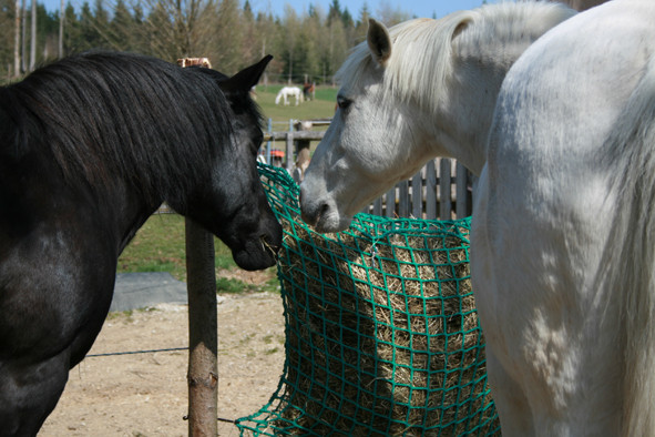 Das Leben kann doch so schön sein!