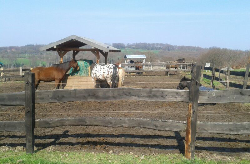 Vielen Dank für die tollen Fotos unserer Kunden.