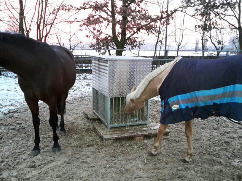 Ein Dankeschön an unsere Kunden in Norddeutschland.