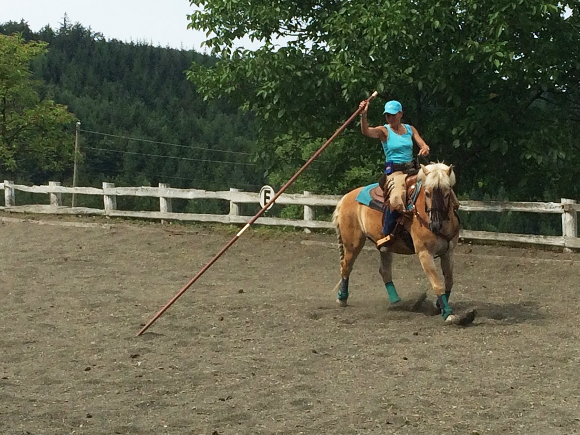3,45 Garrocha in braun. Dank an unsere Kundin für die Fotos.