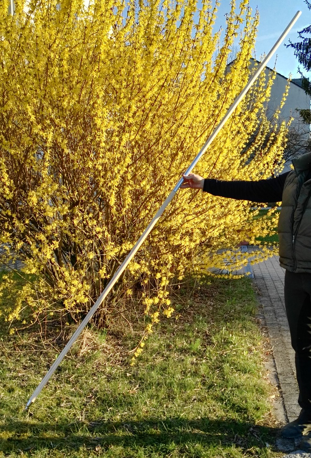 Neu: Ultra leichte Übungsgarrocha 3m lang.