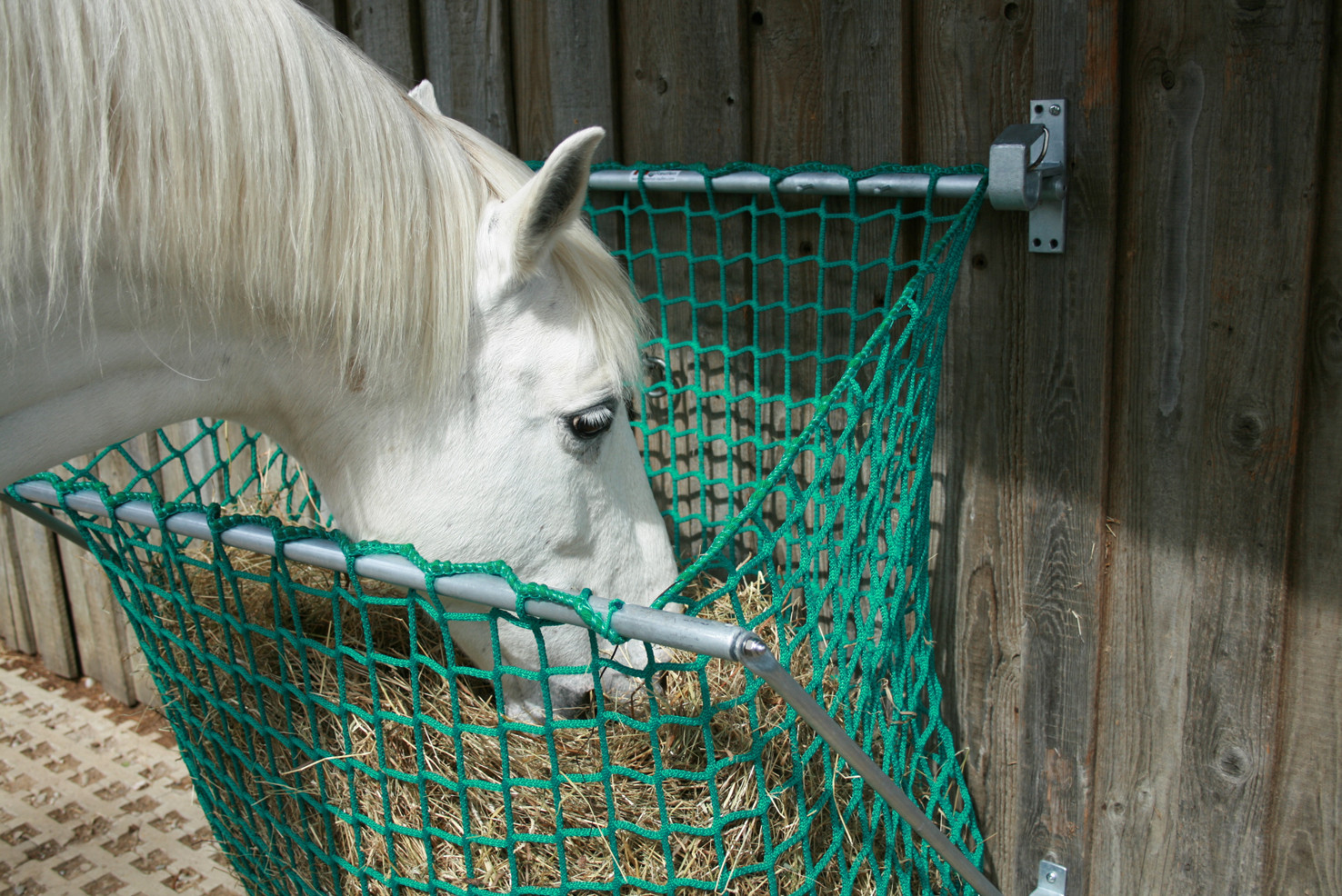 Schnell noch einen Happen mitnehmen...