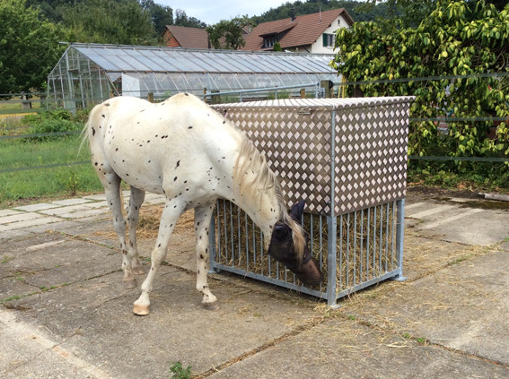 Vielen Dank an unsere Kundin für das Foto.