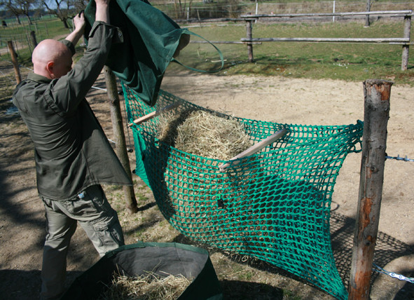 Befüllung des 2m breiten Netzes direkt aus unseren Heutransporttaschen