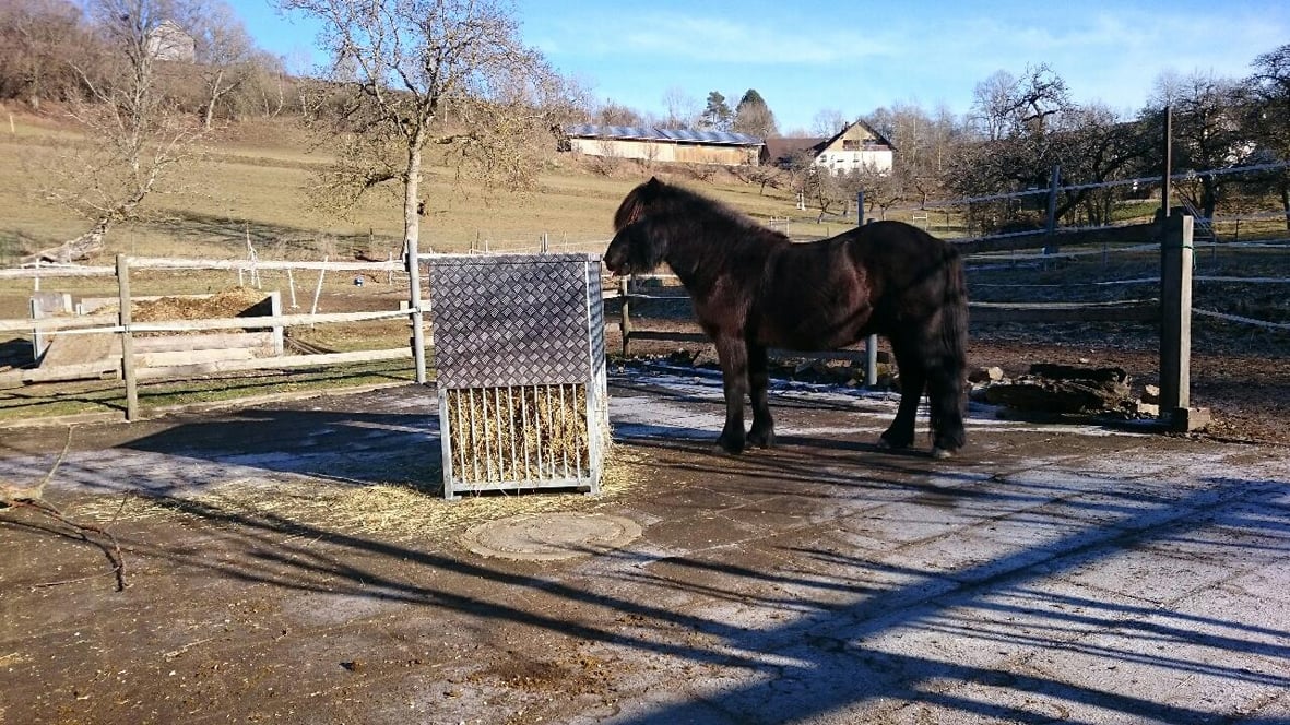 Dankeschön an unsere Kunden.