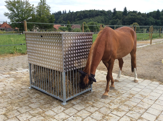 Vielen Dank an unsere Kundin für das Foto.