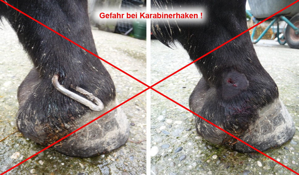 Das wollen wir vermeiden! Normale Karabiner schließen zwar auch Heunetze, aber hier zeigt sich auch die Gefahr. Beim scharren mit dem Fuß am Heunetz hat sich dieses Pferd den Karabiner in die Haut gerammt. Der Tierarzt musste ihn wieder entfernen.