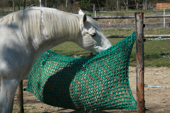 2m breites Netz. Bitte hoch genug aufhängen, da es durch das Heu noch nach unten sackt.