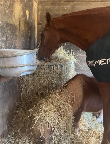 Kundenfoto, herzlichen Dank dafür.