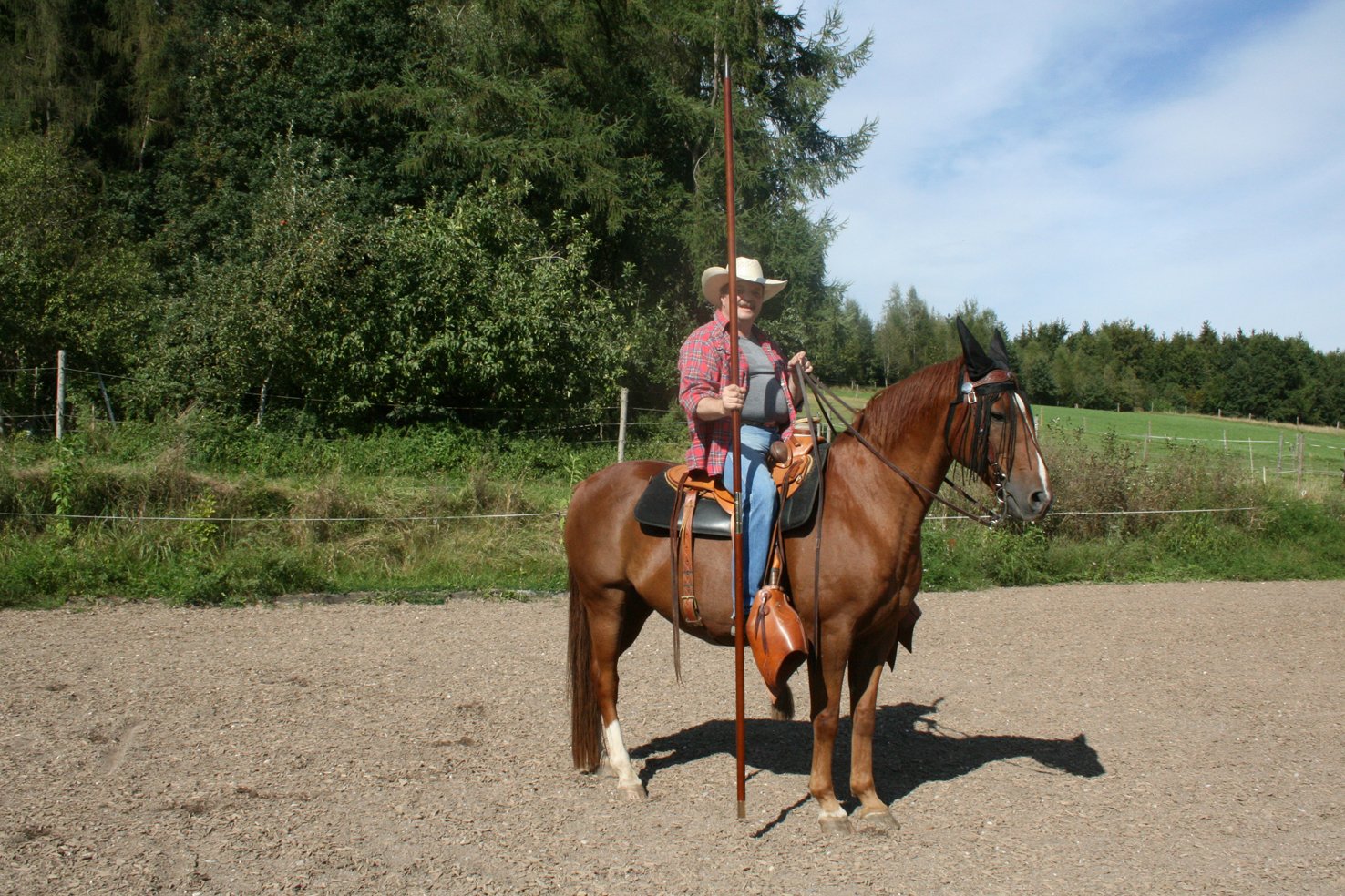 3m Garrocha in braun.