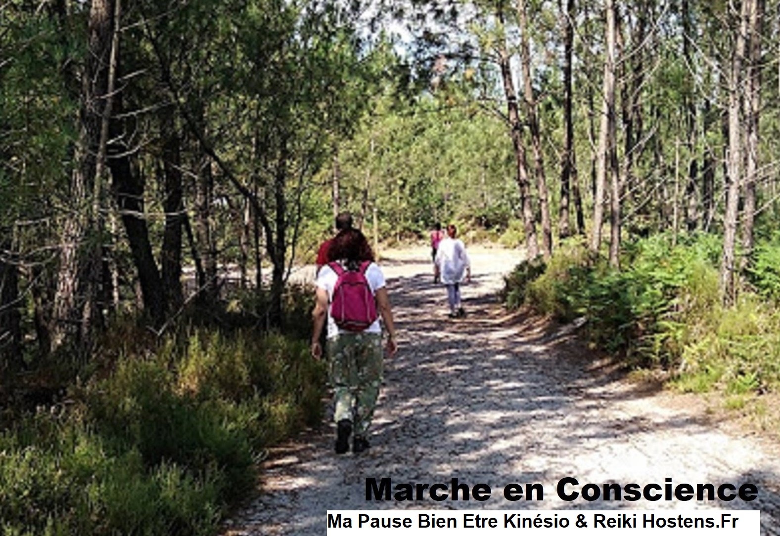 MARCHE DECOUVERTE EN CONSCIENCE