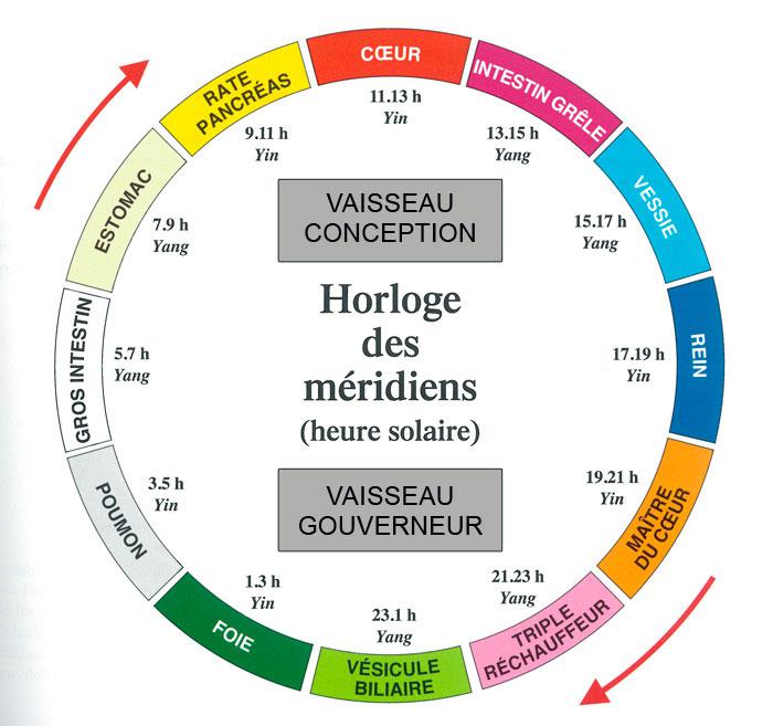 JOURNEE TYPE selon l'horaire énergétique des méridiens