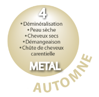 AUTOMNE - Elément METAL - Poumon - Gros Intestin