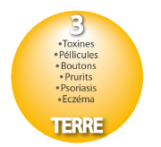 INTERSAISON - Elément TERRE- Rate/Pancréas - Estomac